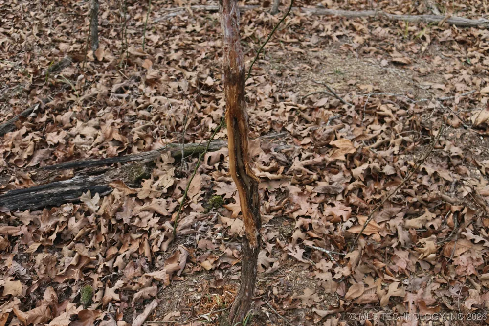 Marsh Loop Loop Smithville, OK 74957