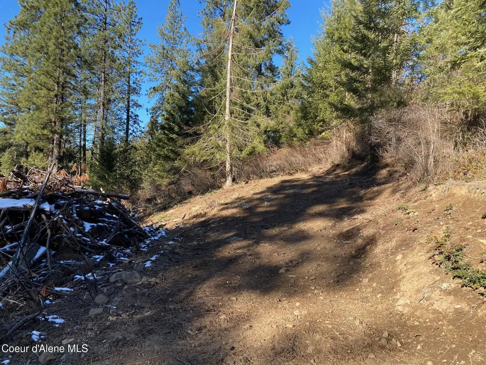 NKA S Edgewater Drive Harrison, ID 83833