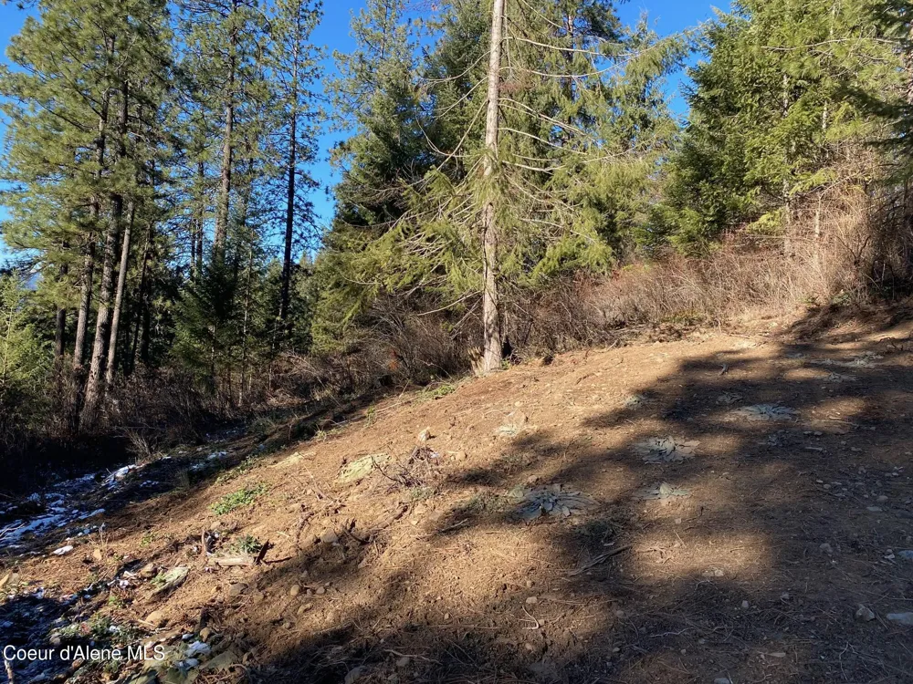 NKA S Edgewater Drive Harrison, ID 83833