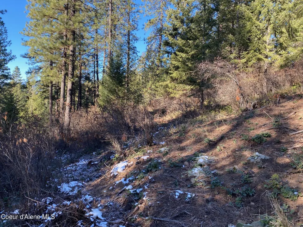 NKA S Edgewater Drive Harrison, ID 83833