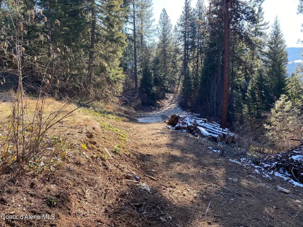 NKA S Edgewater Drive Harrison, ID 83833
