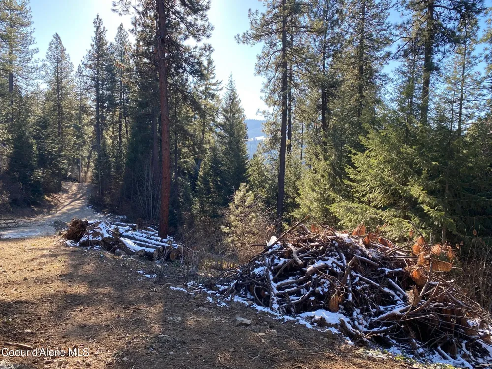 NKA S Edgewater Drive Harrison, ID 83833