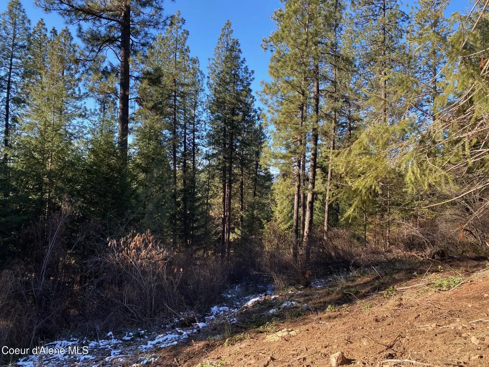 NKA S Edgewater Drive Harrison, ID 83833