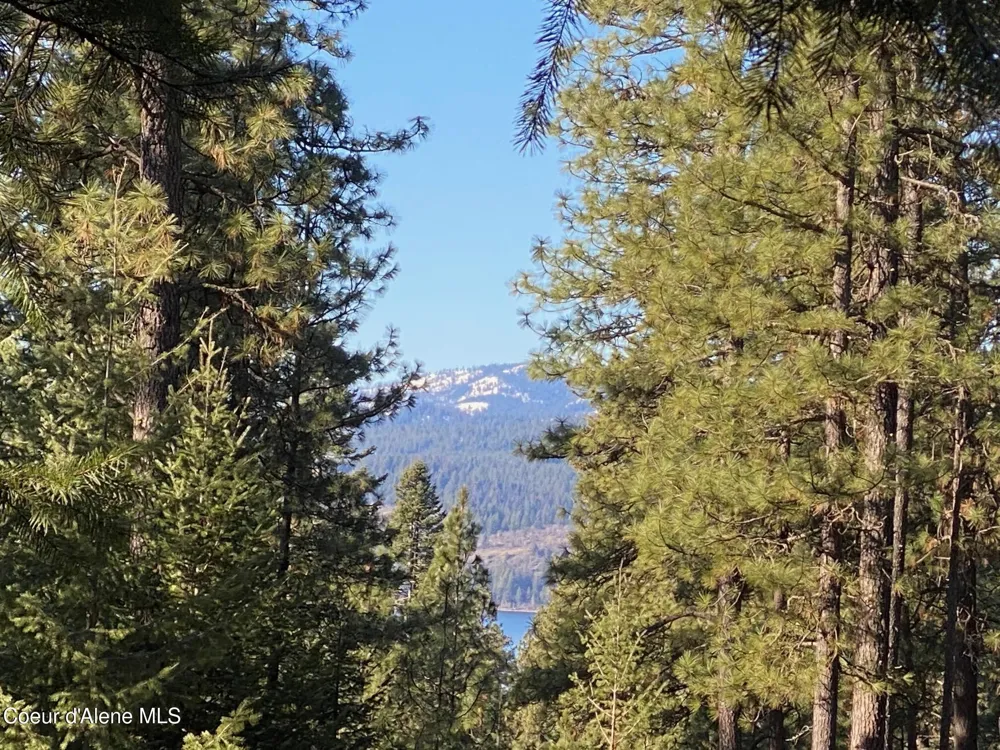 NKA S Edgewater Drive Harrison, ID 83833
