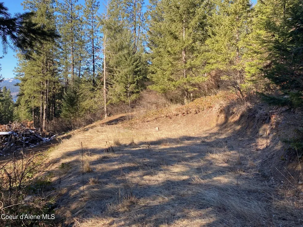 NKA S Edgewater Drive Harrison, ID 83833