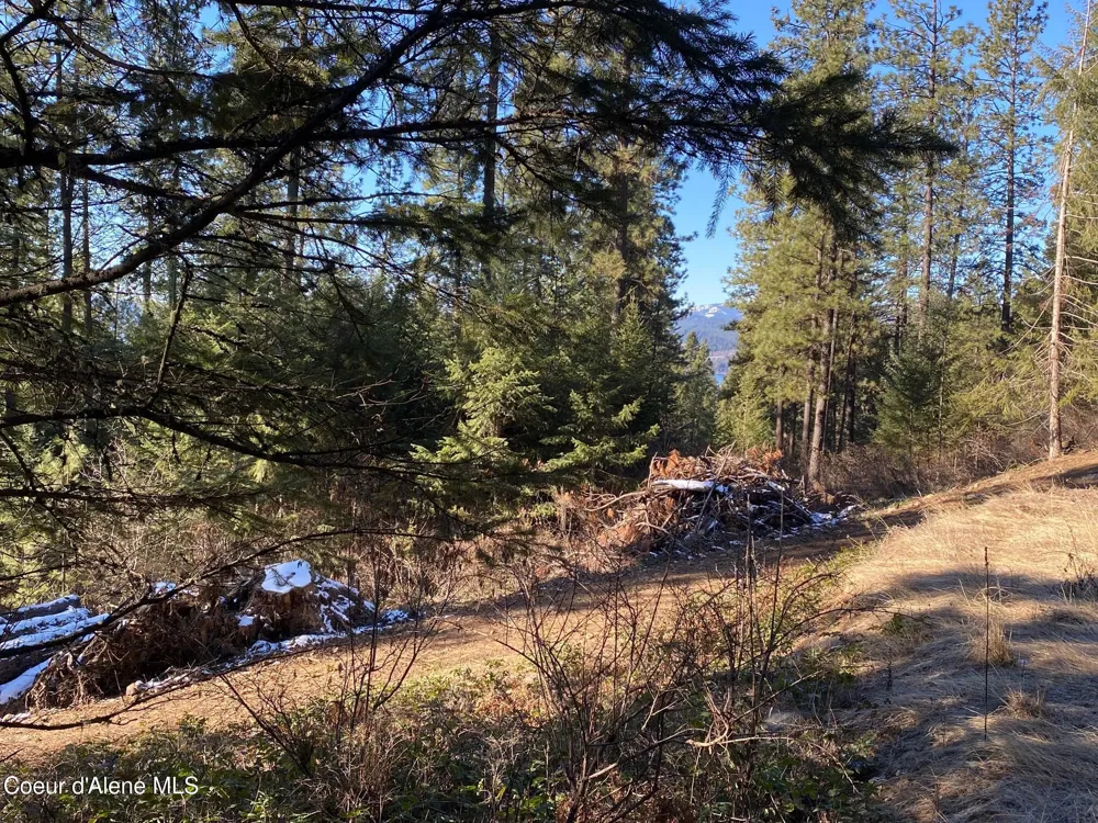NKA S Edgewater Drive Harrison, ID 83833
