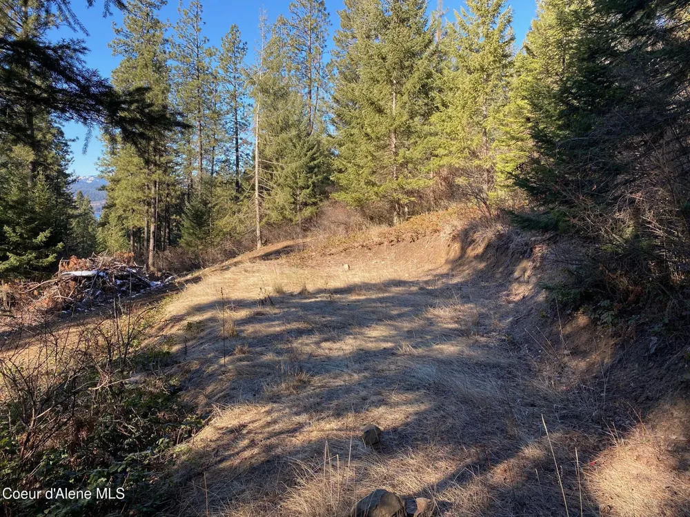NKA S Edgewater Drive Harrison, ID 83833