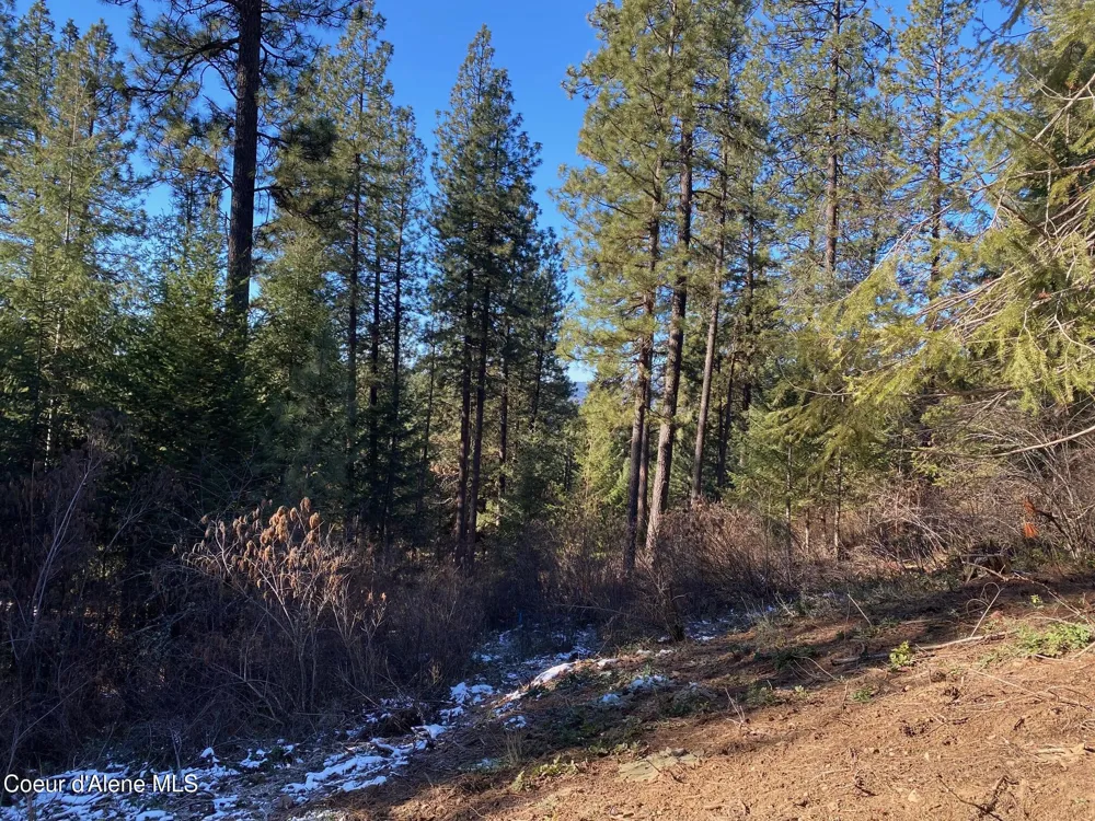 NKA S Edgewater Drive Harrison, ID 83833