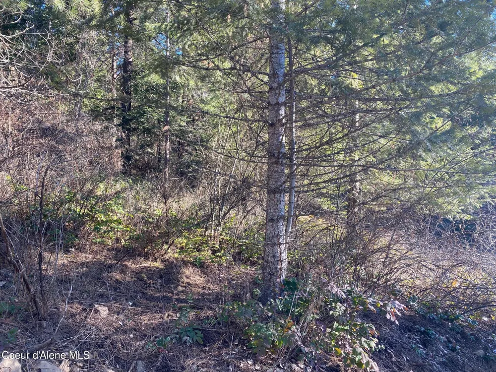 NKA S Edgewater Drive Harrison, ID 83833