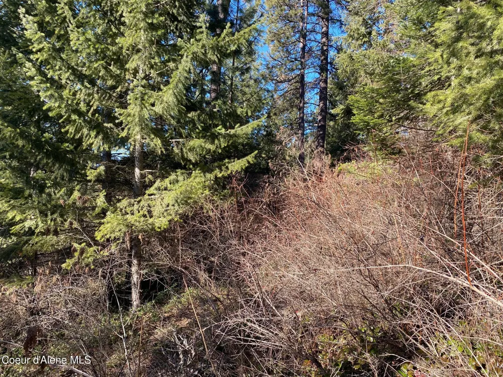 NKA S Edgewater Drive Harrison, ID 83833