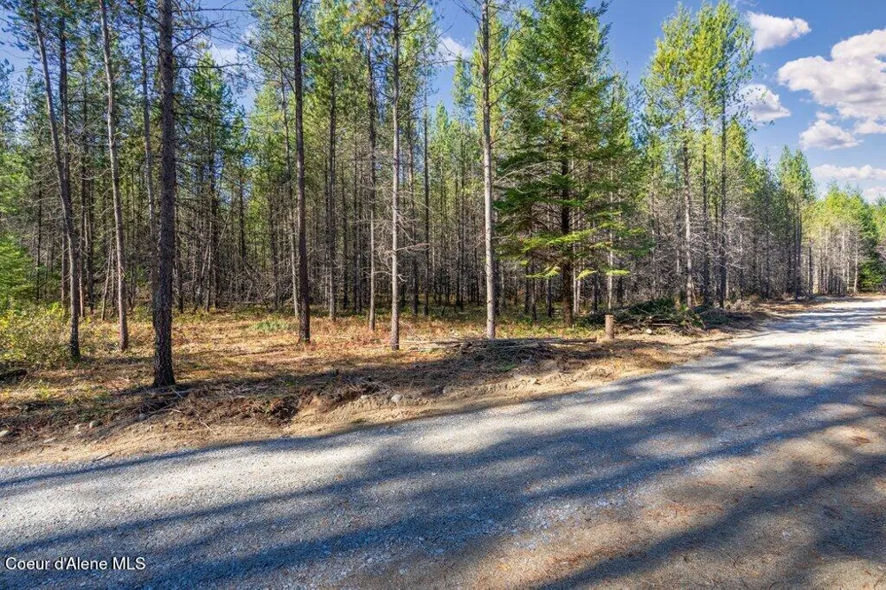 Lot 2 Amaze Way Athol, ID 83801