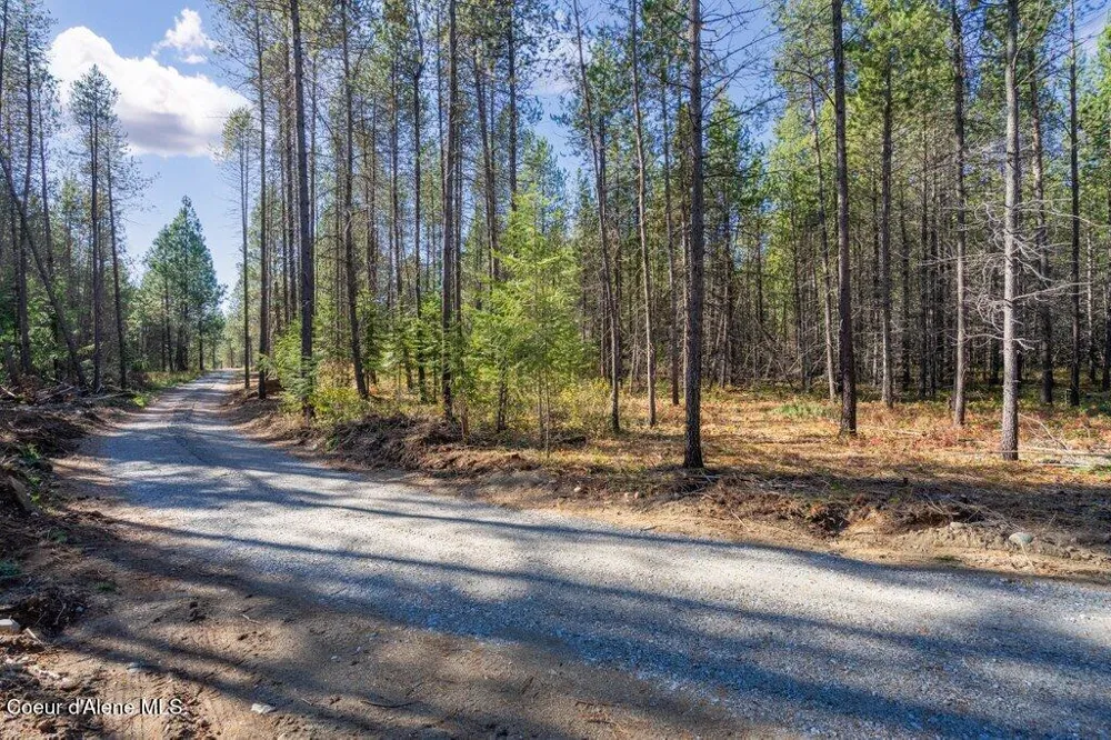 Lot 2 Amaze Way Athol, ID 83801
