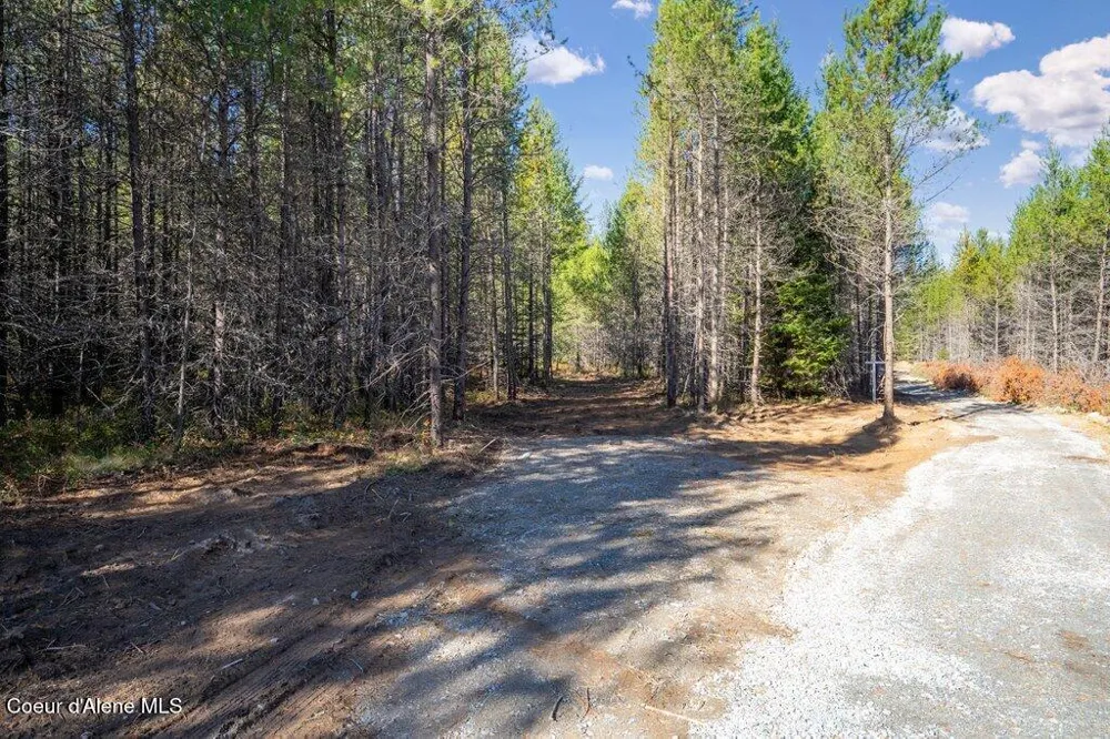Lot 2 Amaze Way Athol, ID 83801