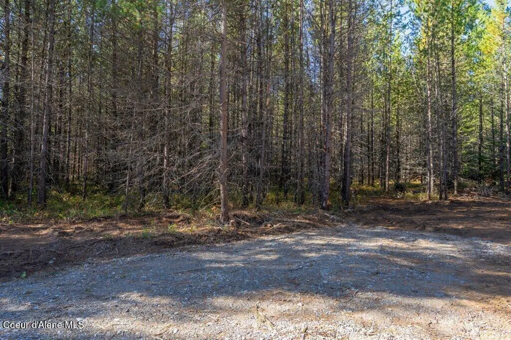 Lot 2 Amaze Way Athol, ID 83801