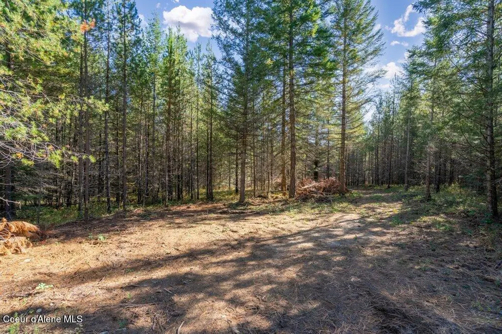 Lot 2 Amaze Way Athol, ID 83801