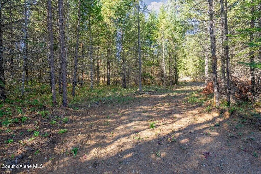 Lot 2 Amaze Way Athol, ID 83801