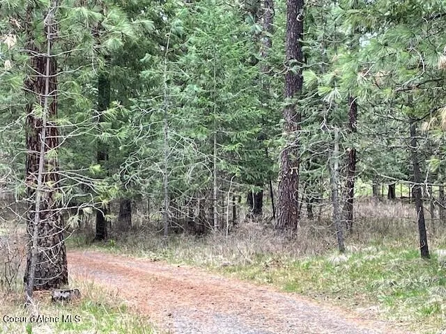 NKA-10 Ac W Sunmeadow Road Worley, ID 83876
