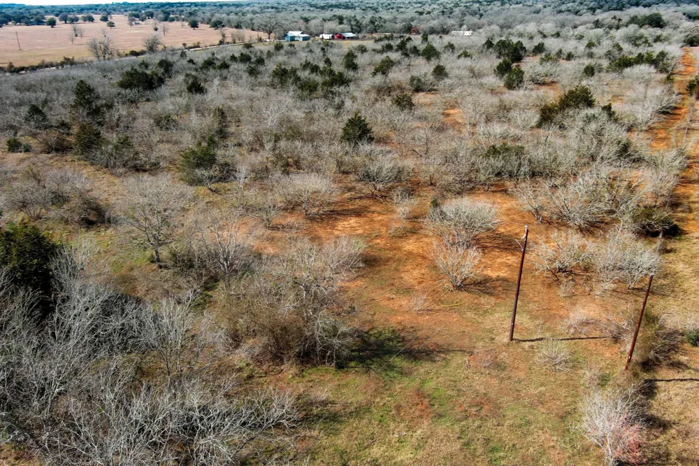 1648 Jeddo Road Rosanky, TX 78953