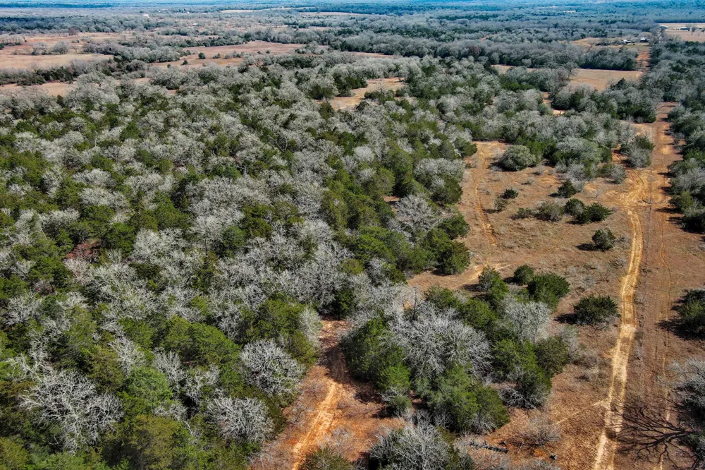 1648 Jeddo Road Rosanky, TX 78953