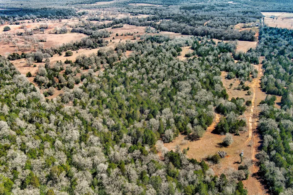 1648 Jeddo Road Rosanky, TX 78953