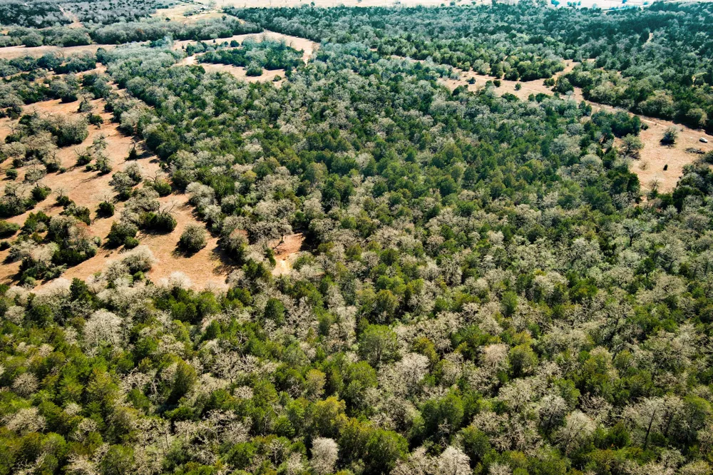 1648 Jeddo Road Rosanky, TX 78953