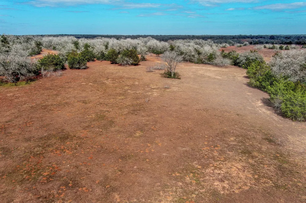 1648 Jeddo Road Rosanky, TX 78953