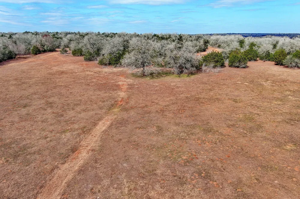 1648 Jeddo Road Rosanky, TX 78953