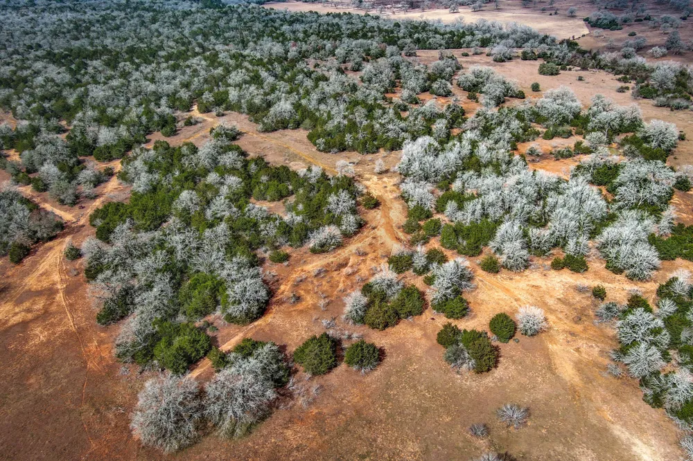 1648 Jeddo Road Rosanky, TX 78953