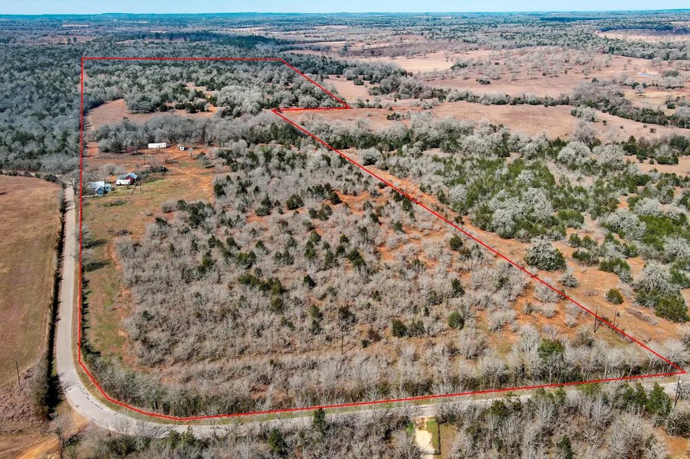 1648 Jeddo Road Rosanky, TX 78953