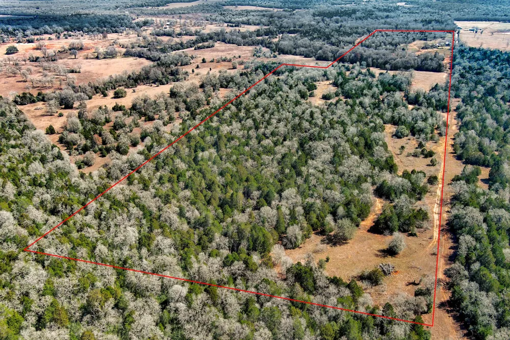 1648 Jeddo Road Rosanky, TX 78953