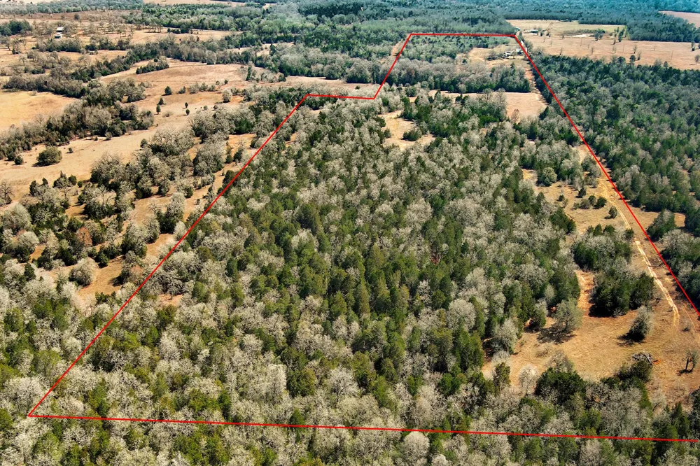 1648 Jeddo Road Rosanky, TX 78953