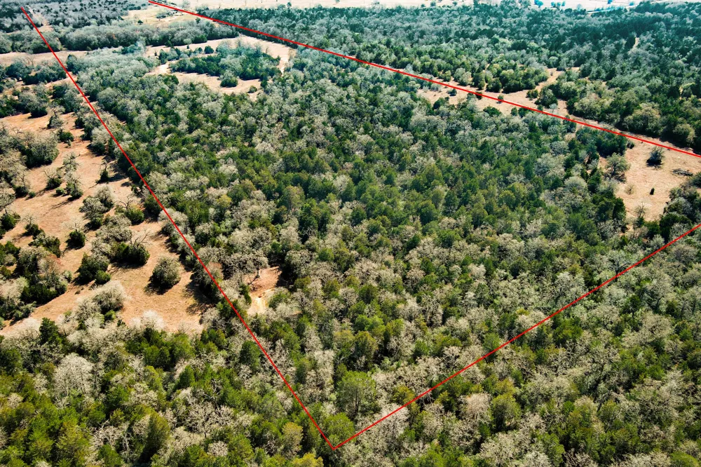 1648 Jeddo Road Rosanky, TX 78953