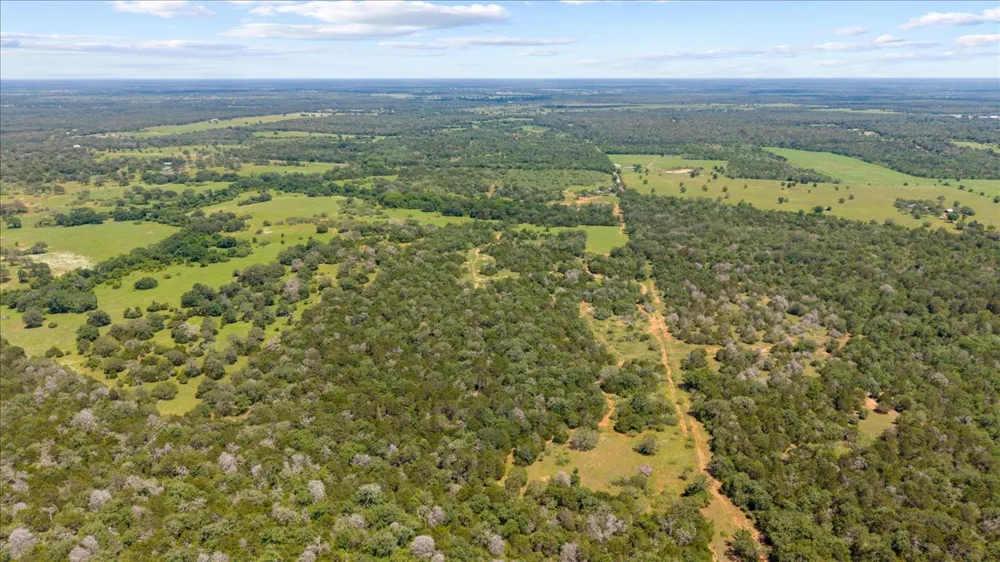 1648 Jeddo Road Rosanky, TX 78953