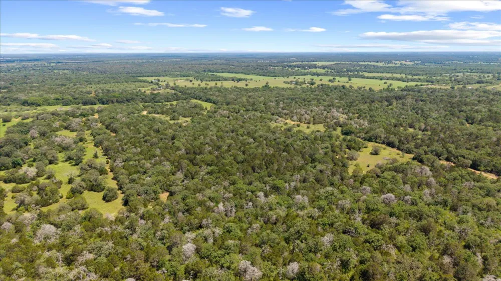 1648 Jeddo Road Rosanky, TX 78953