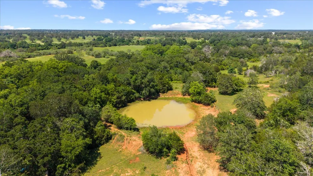 1648 Jeddo Road Rosanky, TX 78953