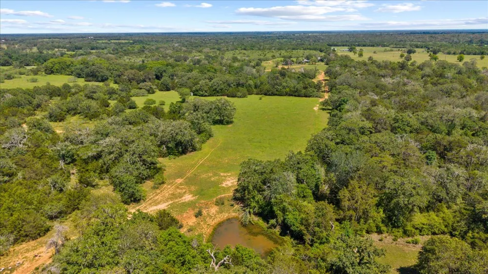 1648 Jeddo Road Rosanky, TX 78953