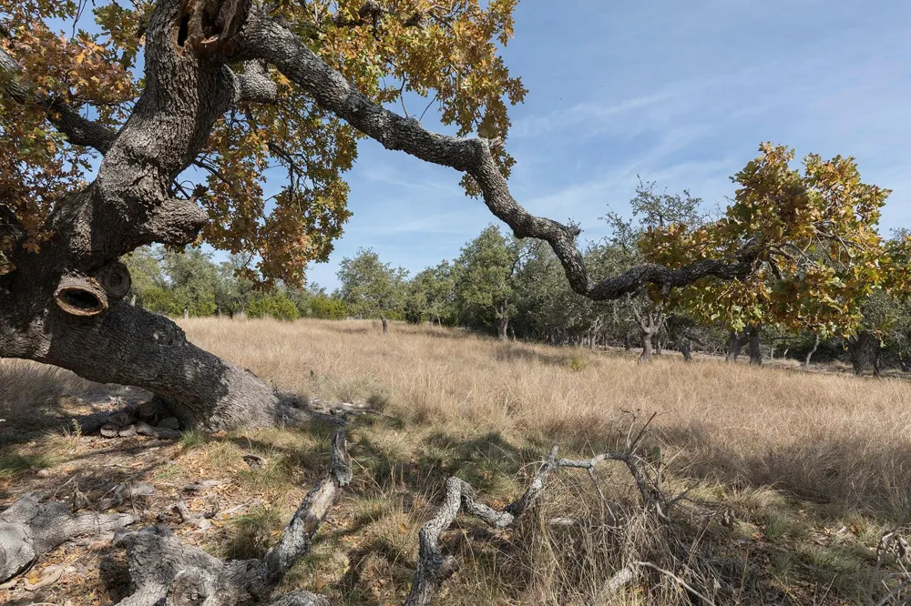 857 Brooklyn Drive NW Kerrville, TX 78058