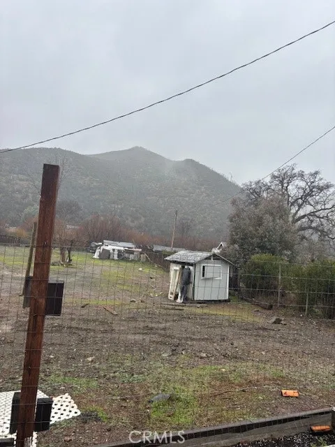 16155 Quail