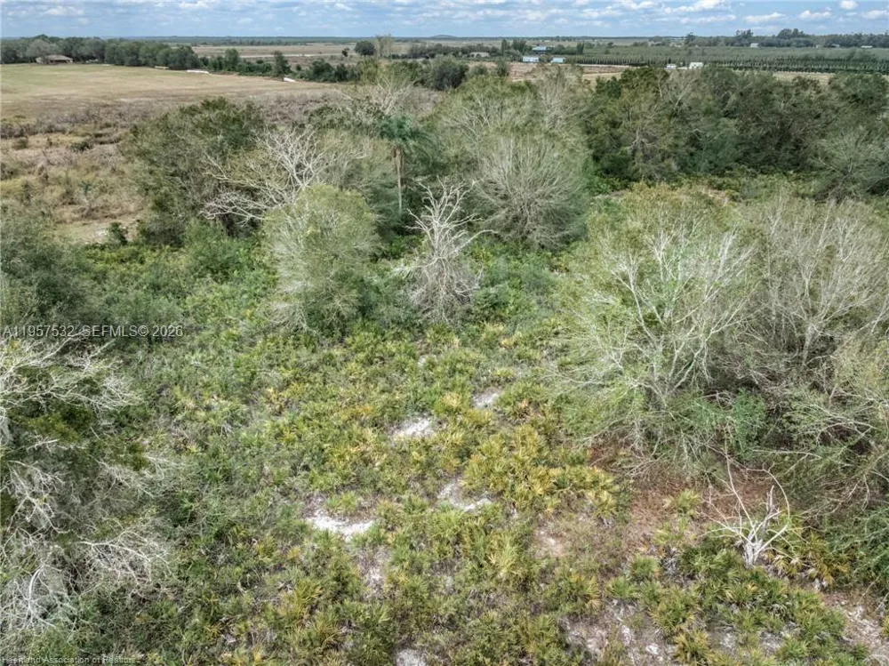 701 Jolly Lane Lorida, FL 33857