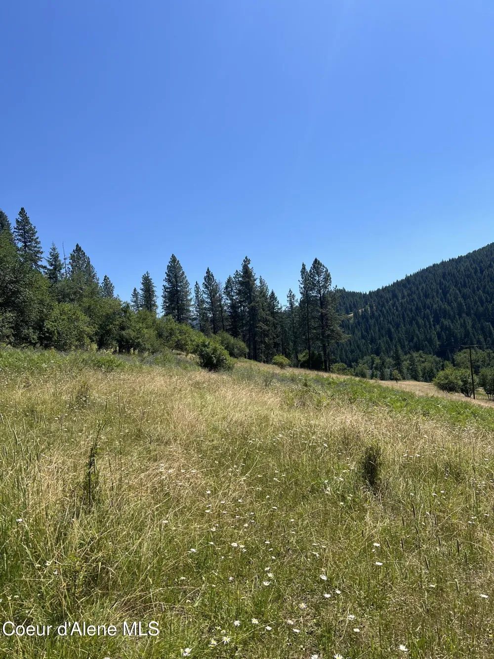 NKA Clearcreek Road Kooskia, ID 83539