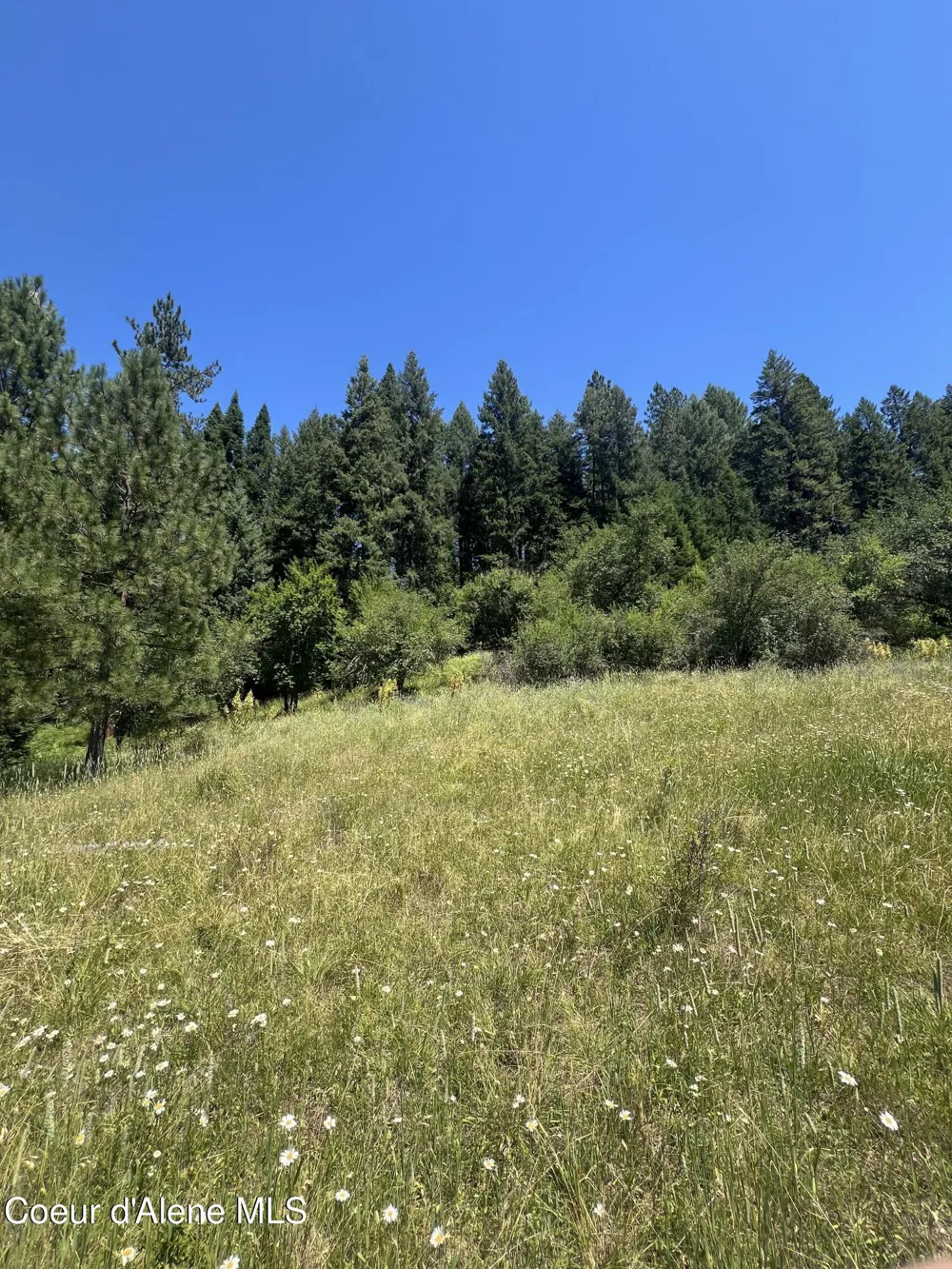 NKA Clearcreek Road Kooskia, ID 83539