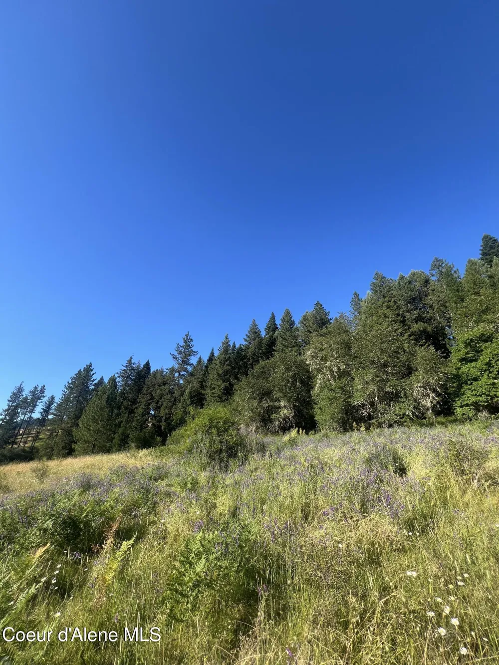 NKA Clearcreek Road Kooskia, ID 83539