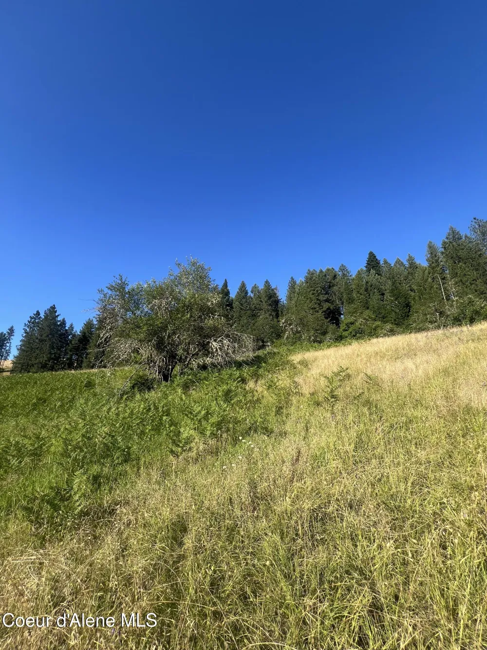 NKA Clearcreek Road Kooskia, ID 83539