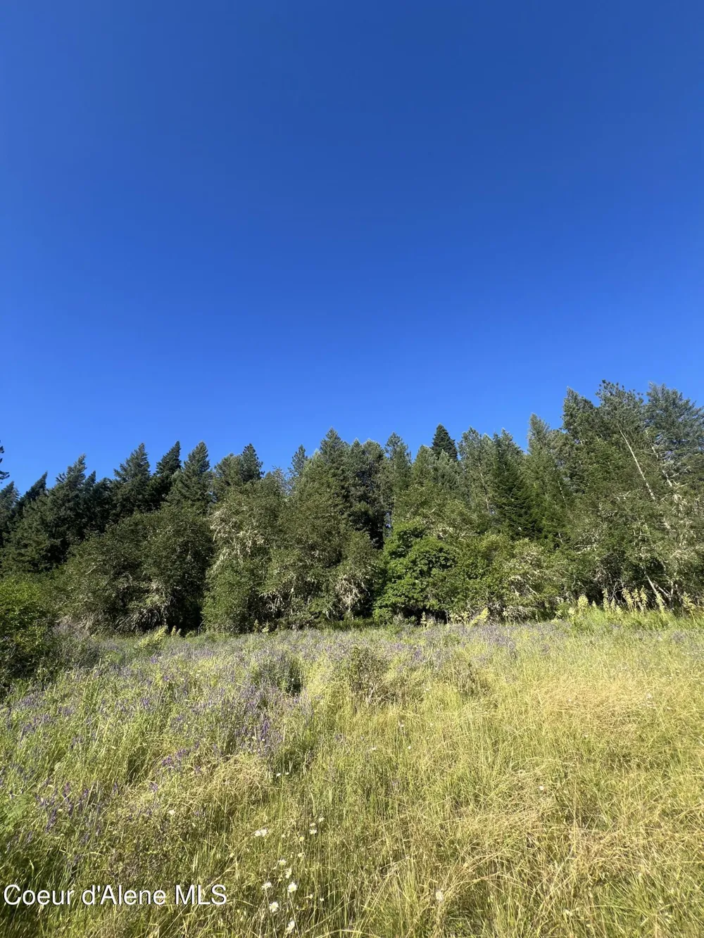 NKA Clearcreek Road Kooskia, ID 83539
