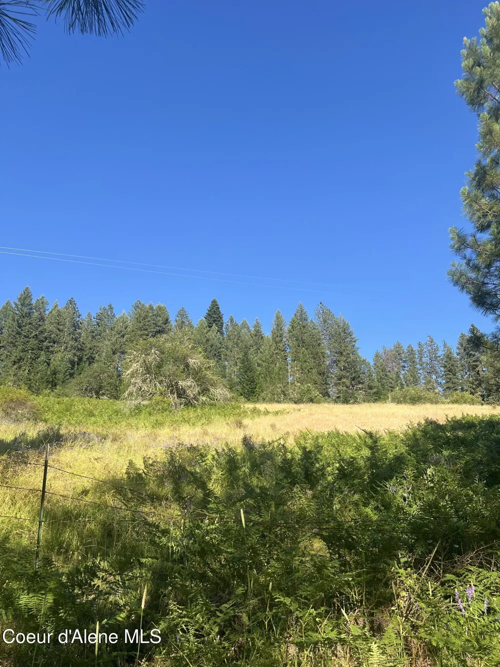 NKA Clearcreek Road Kooskia, ID 83539