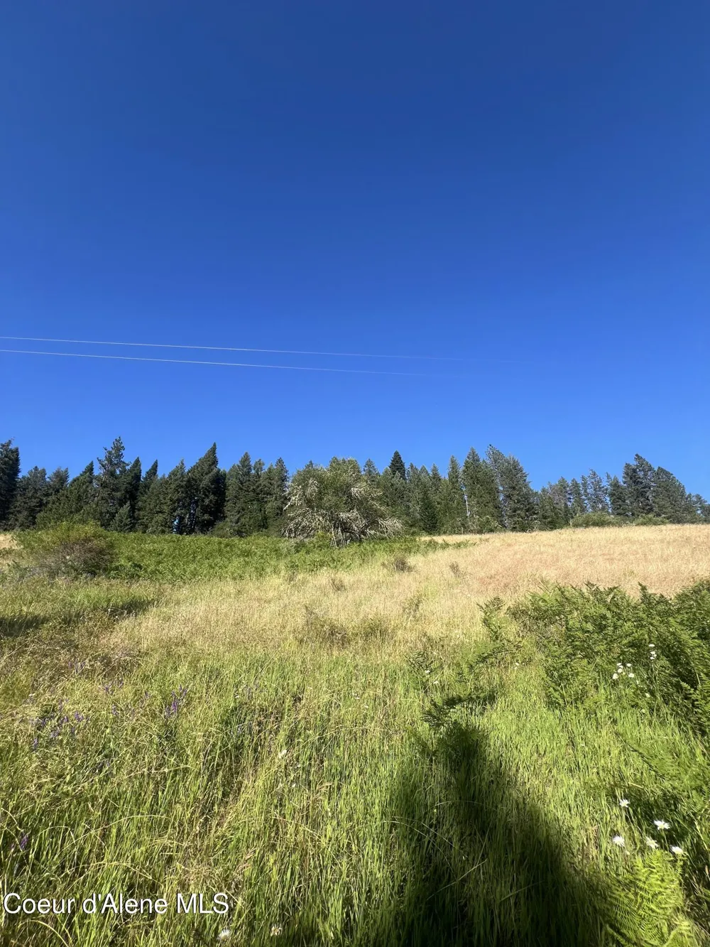 NKA Clearcreek Road Kooskia, ID 83539