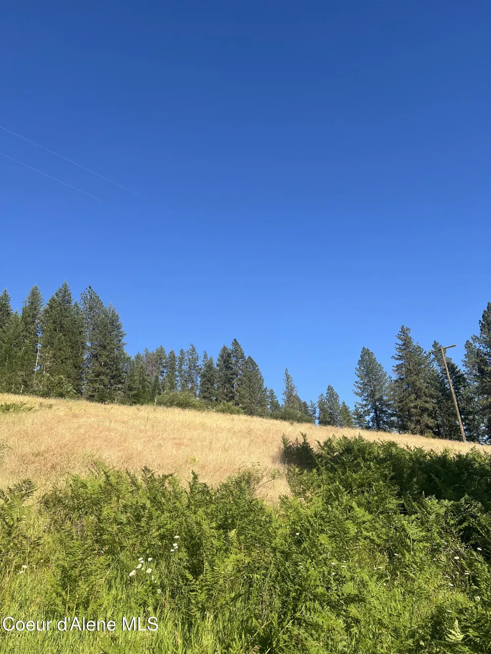 NKA Clearcreek Road Kooskia, ID 83539