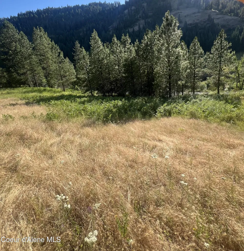 NKA Clearcreek Road Kooskia, ID 83539