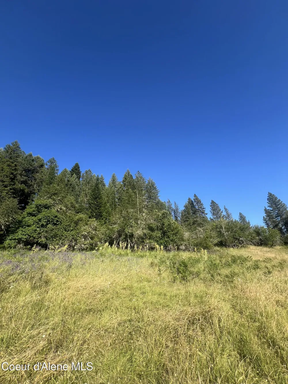 NKA Clearcreek Road Kooskia, ID 83539