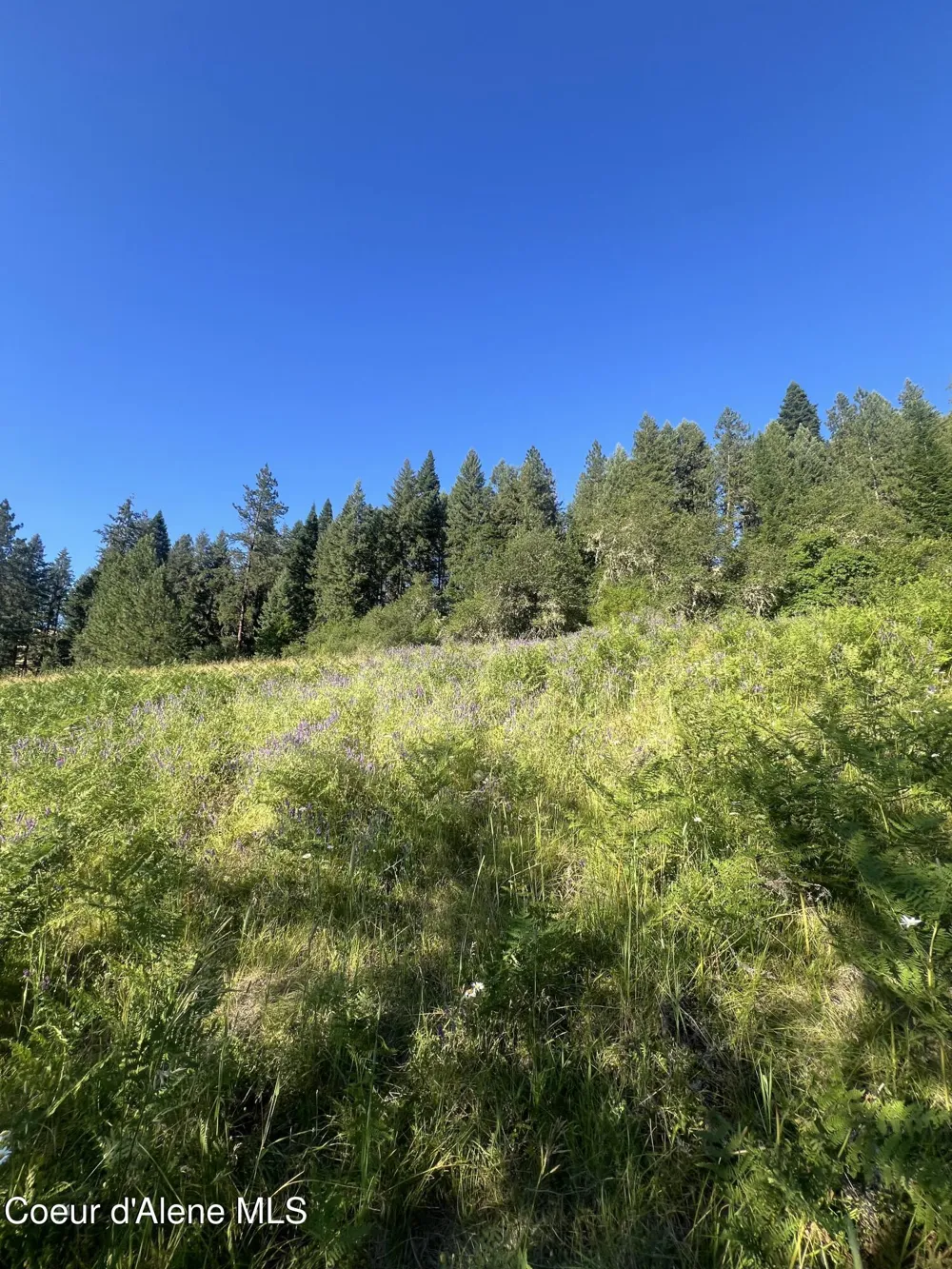 NKA Clearcreek Road Kooskia, ID 83539